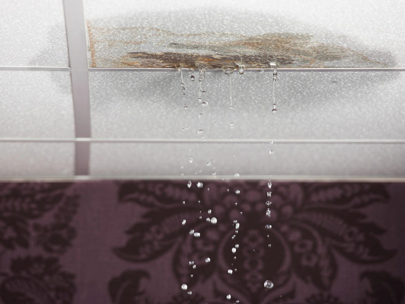 Roof Leak Repair Blog